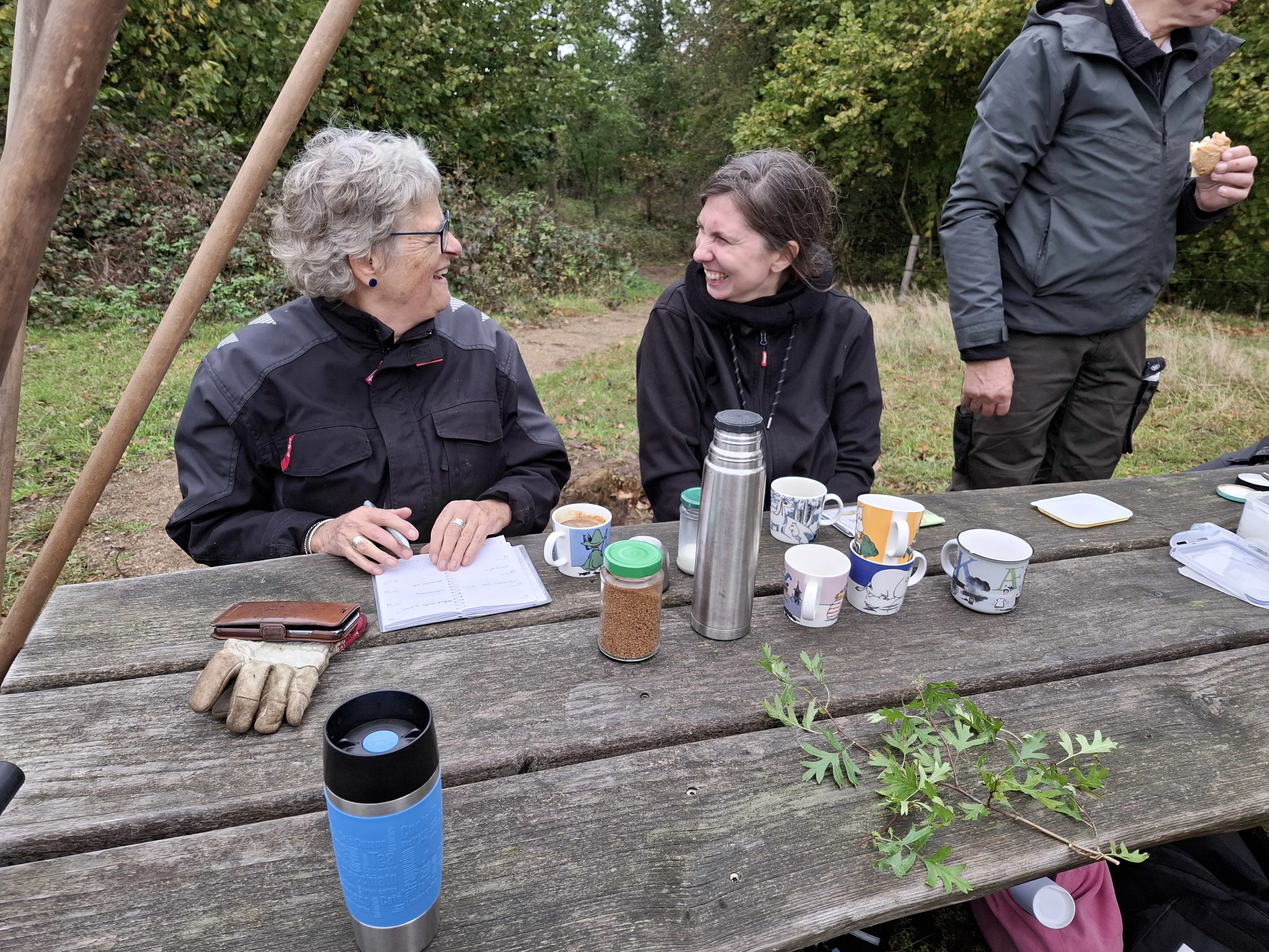 Todo